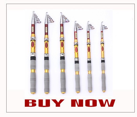 1BBC4FE56B232264C6C728FFE59B66CD