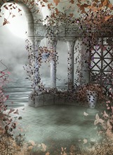 Wedding Backdrops Photo Studio Photography Background Floor After The Romantic Garden Fairy Tale World For Couple