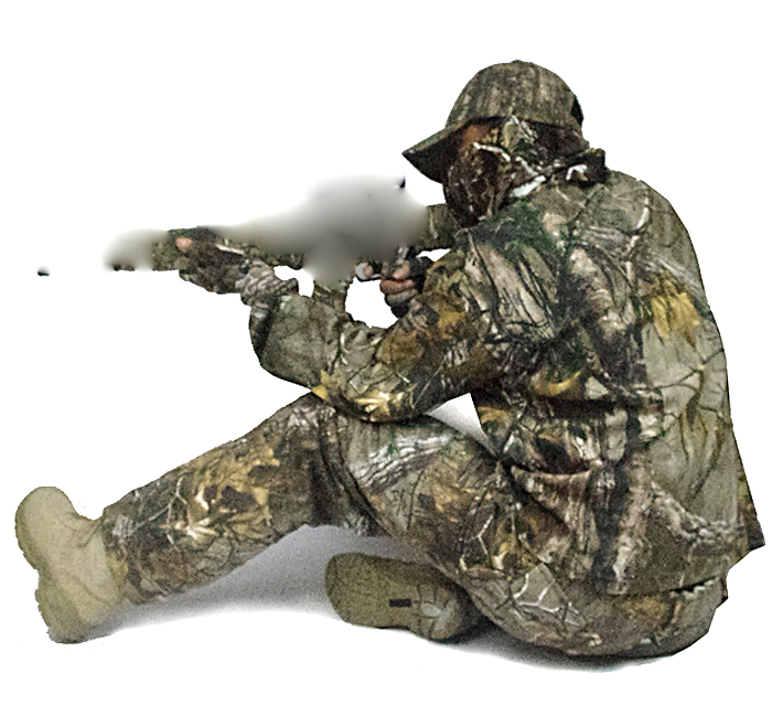 Homework help mimicry camouflage
