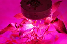 1pcs Newest UFO 150W Led Grow Light Full Spectrum 50X3W Led Chip Plant Growing Lamp for
