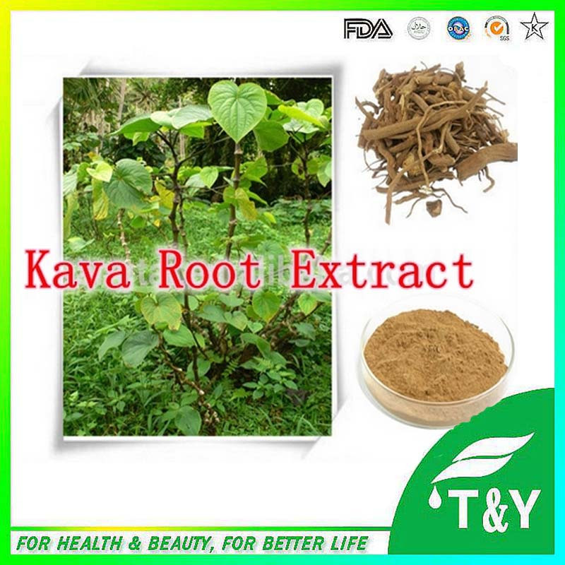 Kava extract,Kava extract powder,Free sample kava extract powder