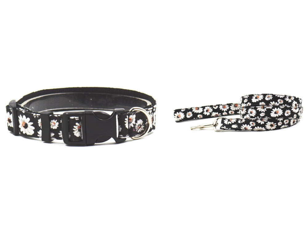 Hot dog collars coupon code