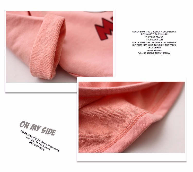 QZZ034-Pink Minnie8