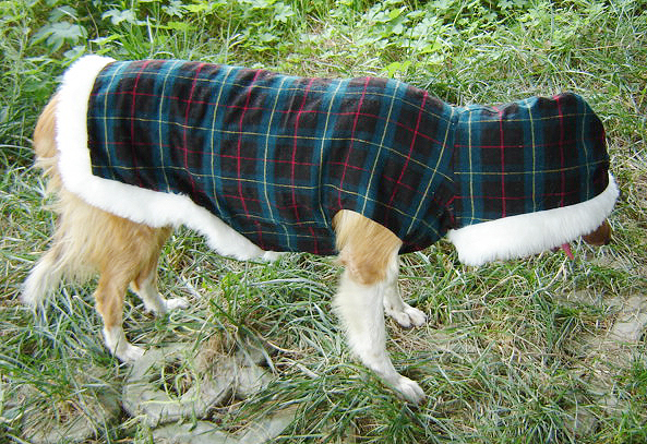 Pet apparel dog clothes big dog winter clothes large dog golden winter font b tartan b