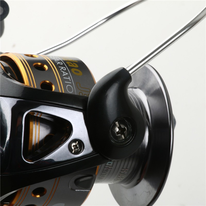 HTB1wxfyGFXXXXbOXpXXq6xXFXXXT