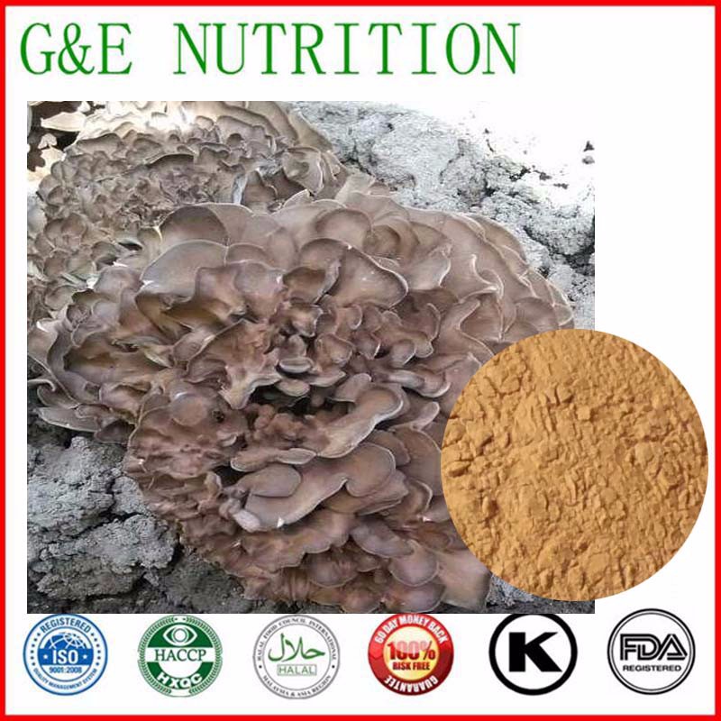 100% Pure Grifola frondosa Extract,Grifola frondosa Extract Powder,Grifola frondosa Extract 600g
