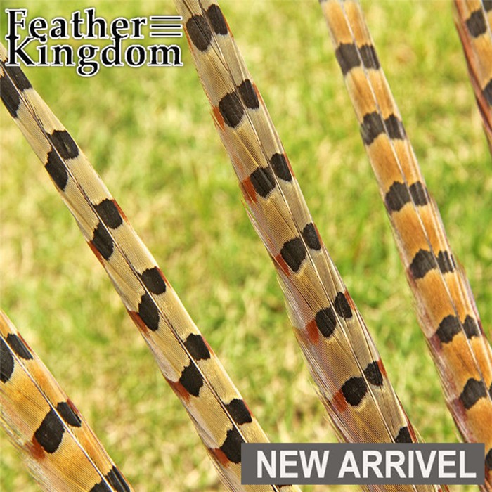 natural ringneck pheasant feathers