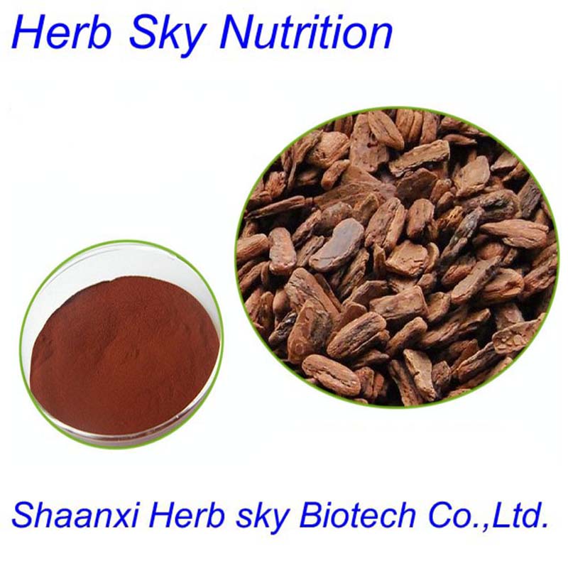High quality Pine Bark Extract powder 10:1 100g/lot