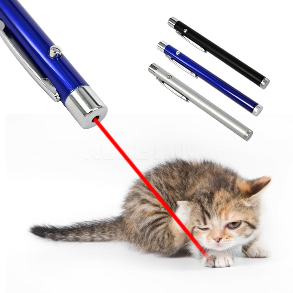 laser pens and cats