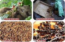 New store promotions BUY 3 GET 4 Free Shipping 500g Mink brand Vietnam Cat feces coffee
