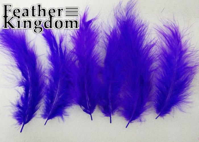 purple Turkey feather