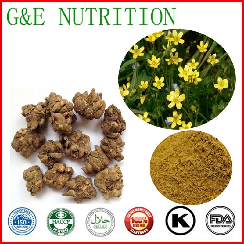 1000g Cat's claw/ radix ranunculi ternati/  buttercup root Extract with free shipping