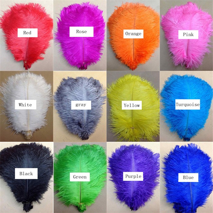 colors ostrich feathers
