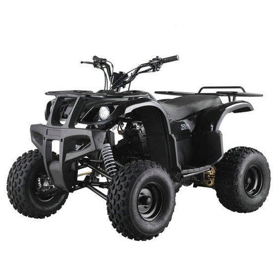 BULL MODEL ATV.jpg