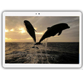 CARBAYTA K109 Android 6 0 tablet Pcs 10 1 inch tablet PC smartphone 4G LTE octa