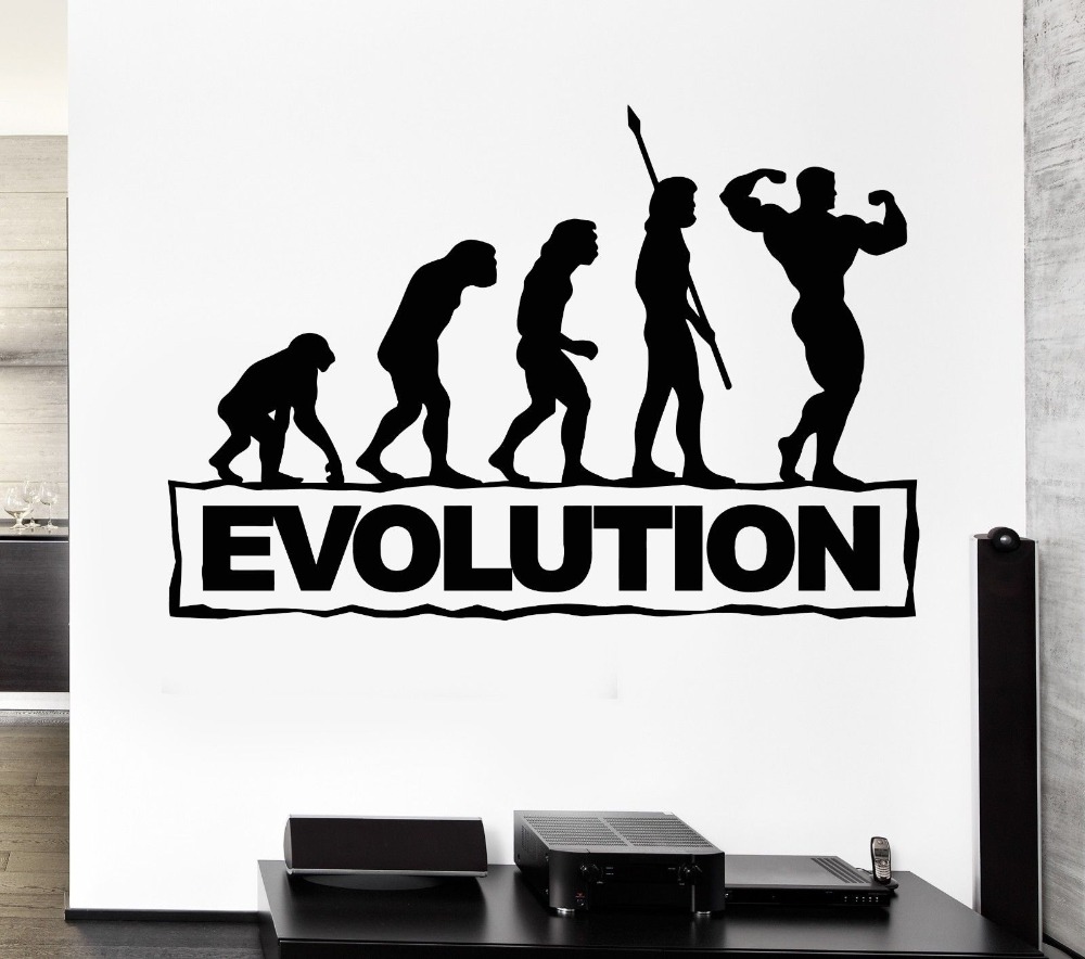 Ingrosso di alta qualità evolution wall decal da grossisti ... Stencil per pareti grandi mattoni