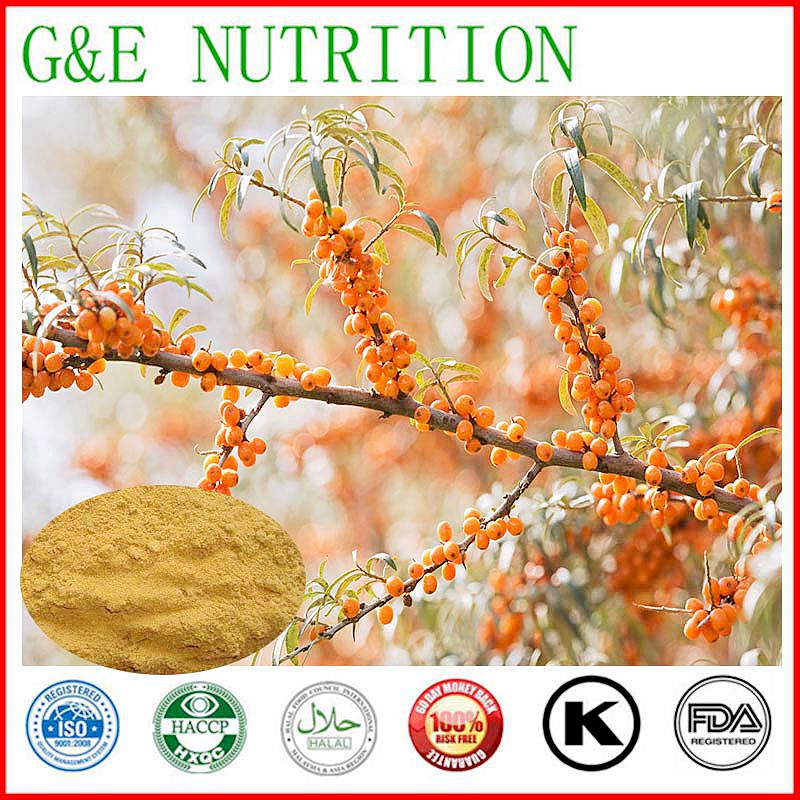 2015 1KG ISO Certificated Sea buckthorn Extract/Sea Buckthorn P.E hOT Selling