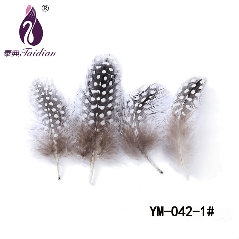 YM-042-1 Guinea pearl Fowl Feather