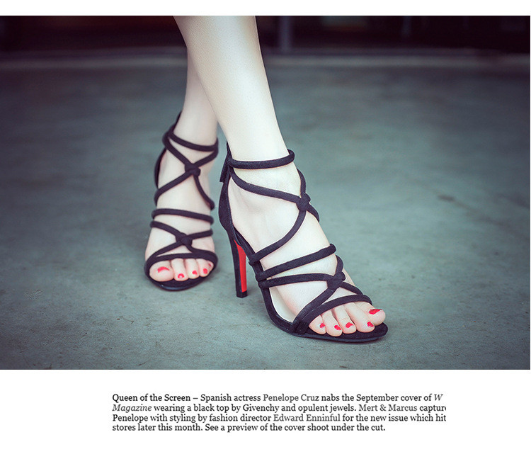 2232513378_1789272305