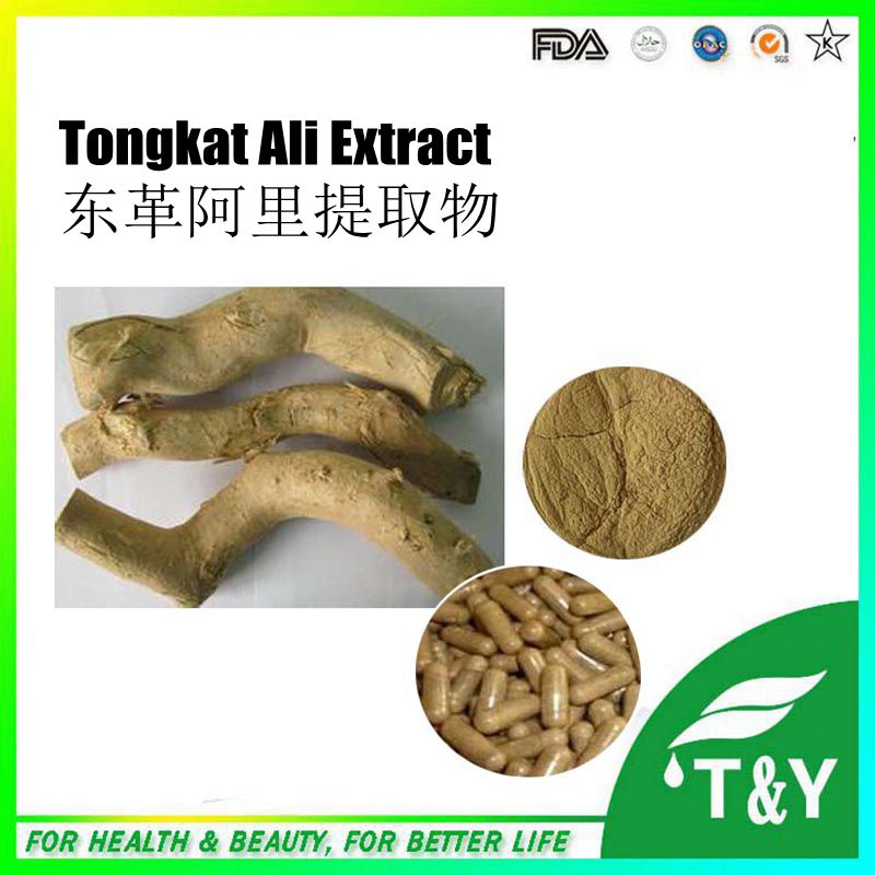 Tongkat Ali Extract/Tongkat Ali Root Extract 10 1/Tongkat Ali Extract Powder capsule 500mg*200pcs