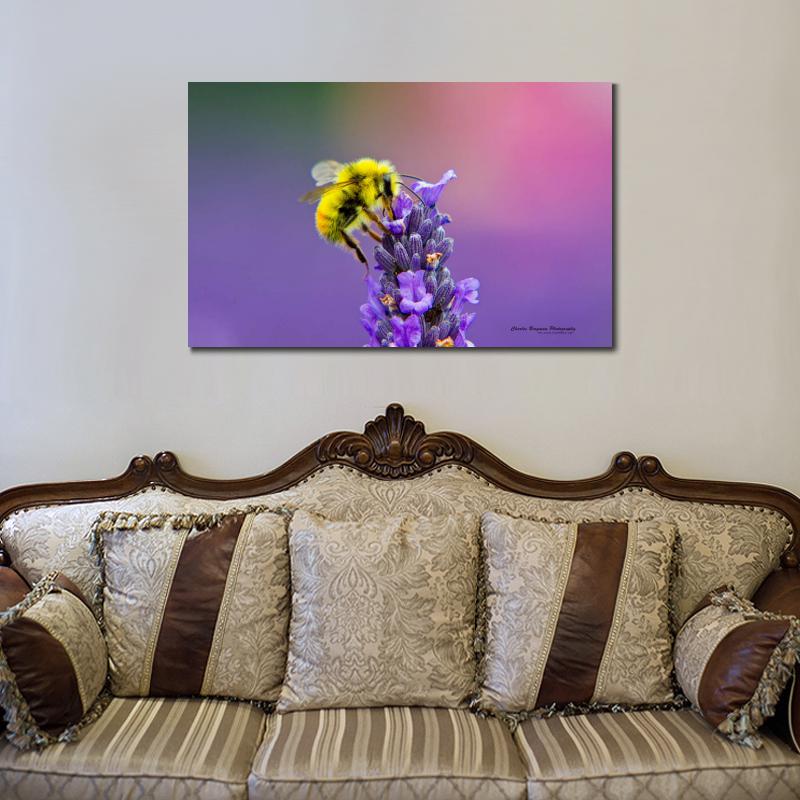 Abstract insecten koop goedkope abstract insecten loten van ...
