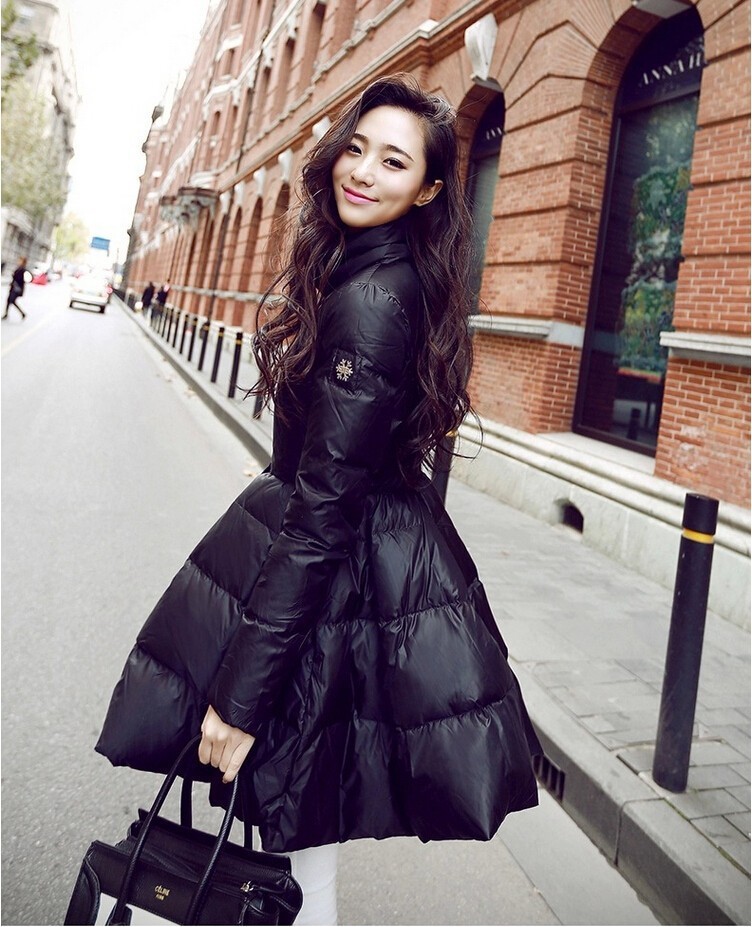 Winter jacket Women Winter Warm Down Coat Long Sleeve Solid A Line Long Jacket Coat Women Europe Stand Collar Down Coat (3)