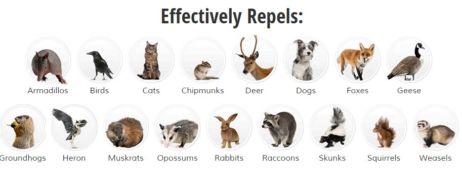 31004 repel animal type