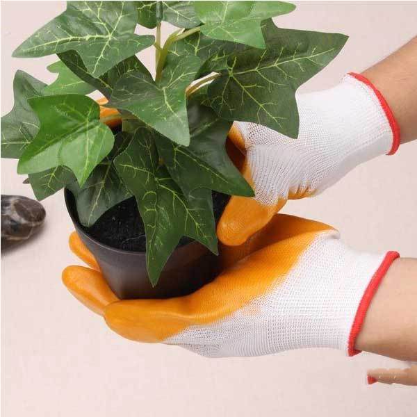 JARDINERIA TRABAJO jardineria trabajo: