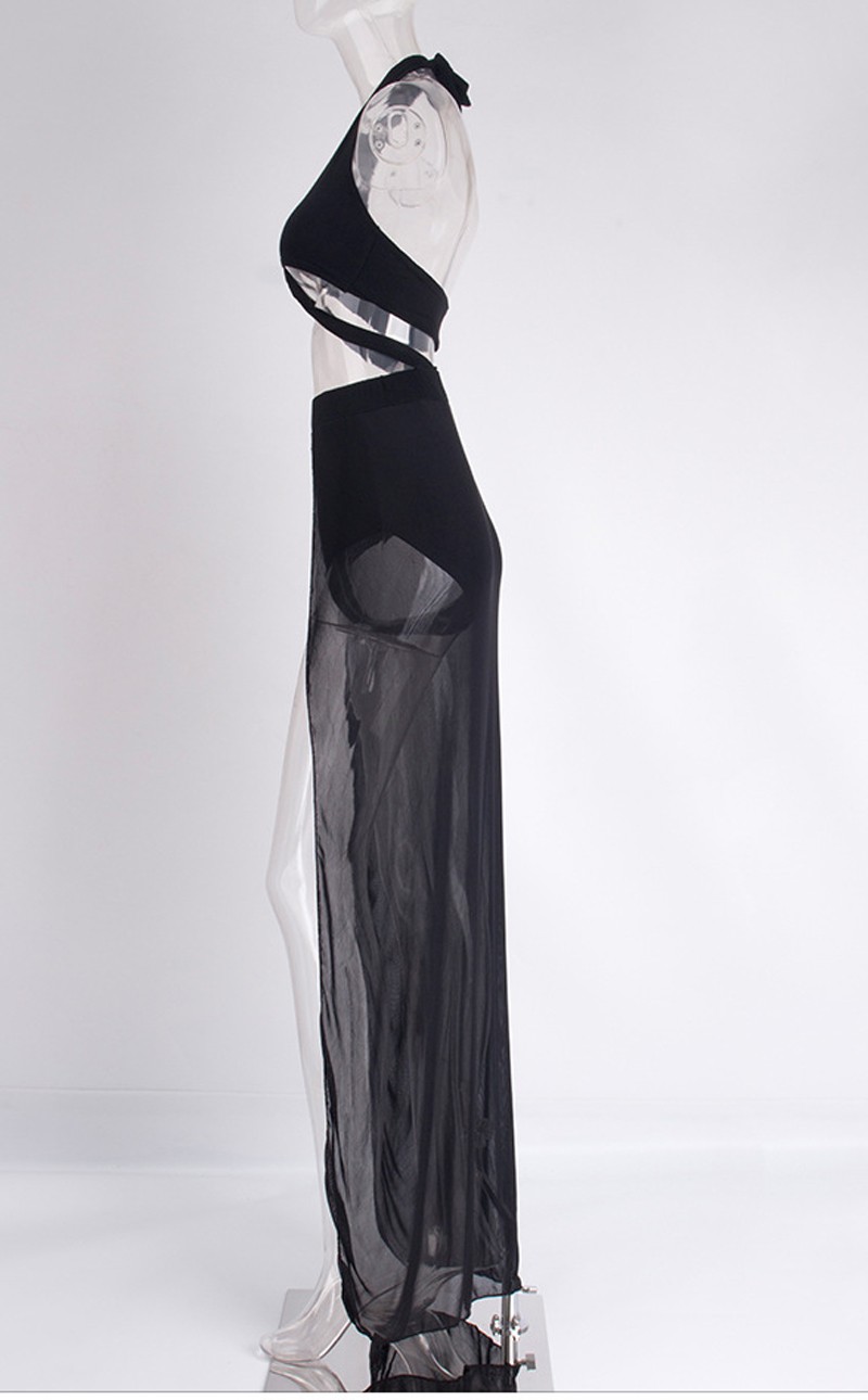 2532912001_1686696451