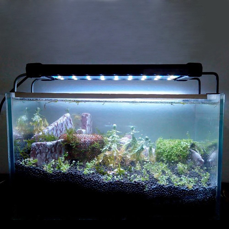  Fish Tank        110-220     Fish Tank    