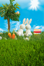 5feet*7feet(150cm*215cm) Radish Rabbit Trees photography backdrops photography background photo studio backdrop