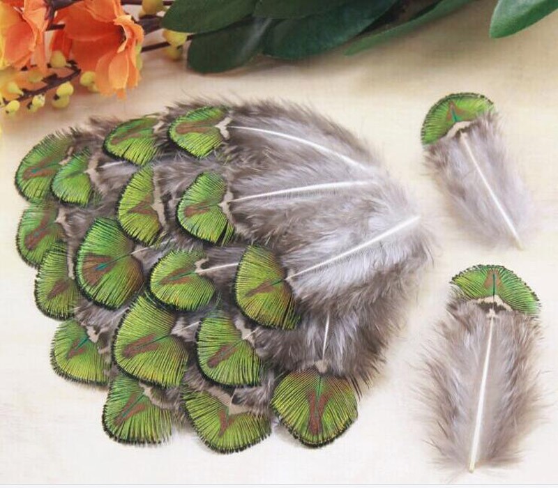 YM-010 Peacock Feather-
