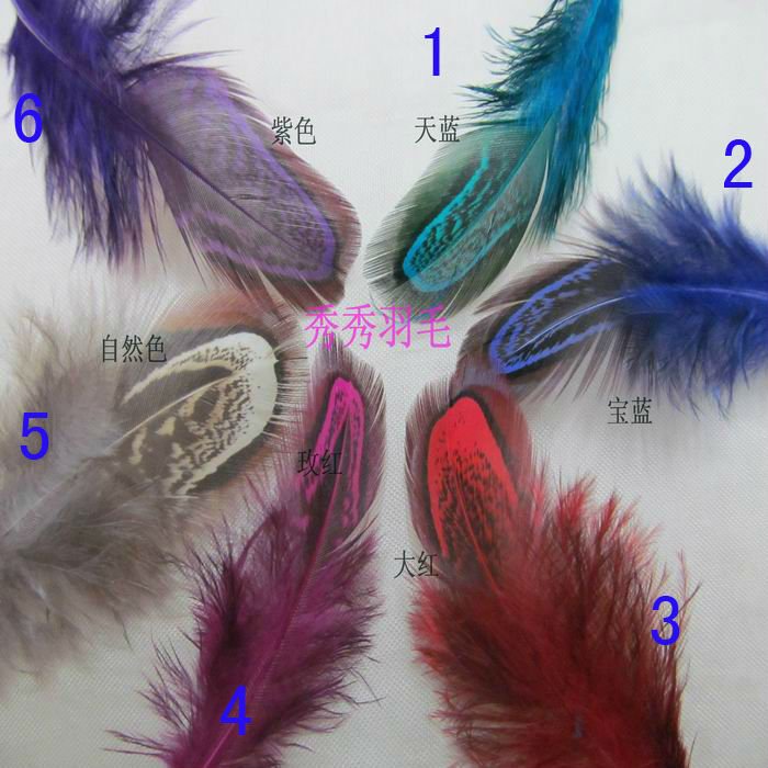 Retail Free Shipping 24 pcs 5 8cm party decorative feather pheasant plume feather natural feathers Clothing