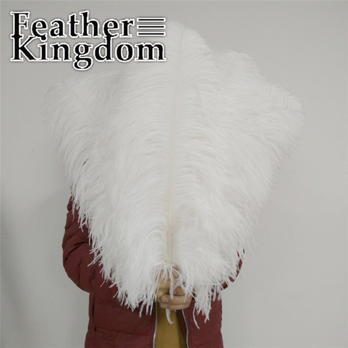 50-55cm white ostrich feather