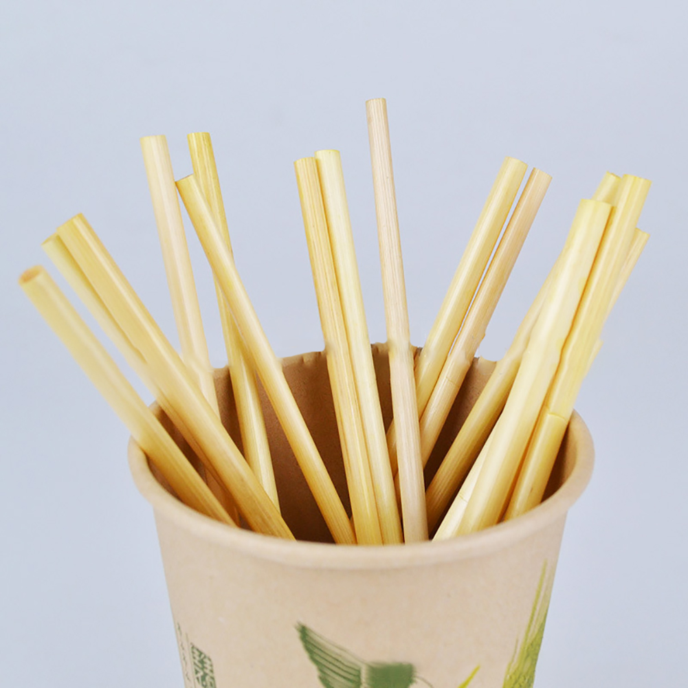 100Pcs/Pack Drinking Straw Cocktail Organic Biodegradable Wheat