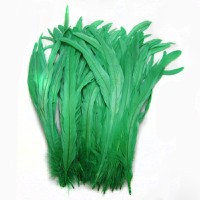 green rooster feathers