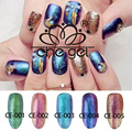 New Fashion Chameleon 5 Colors Nail Gel Polish UV Glitter Gel Nail For Manicure ZJY015