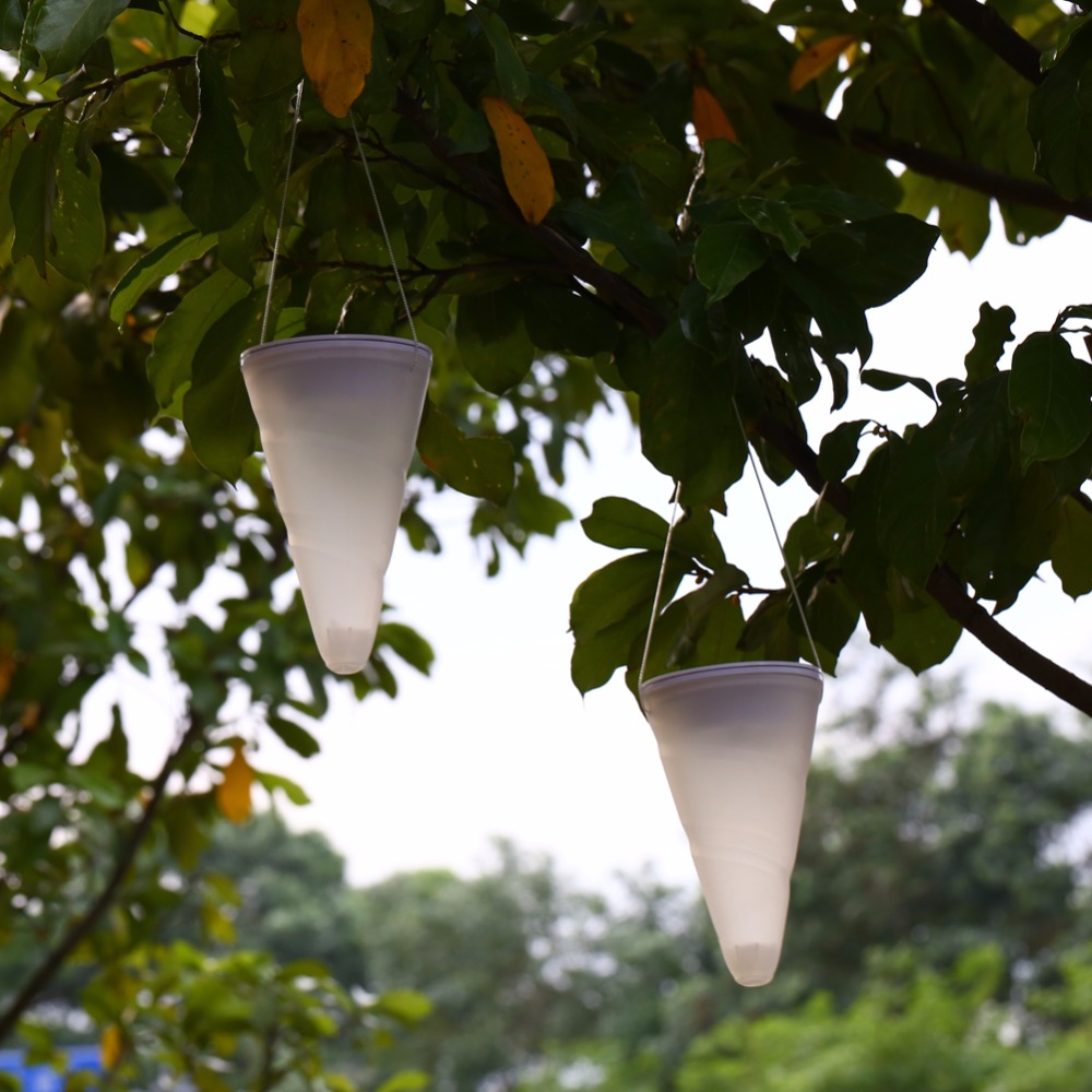 Lampade solari per giardino: lampada solare da giardino kit 5 led ...