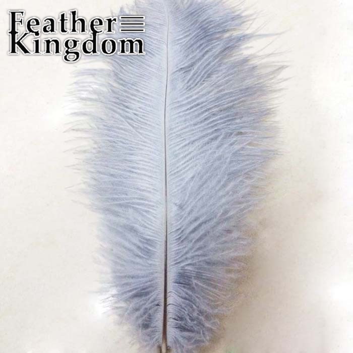 gray ostrich feather