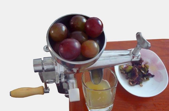 Stainless steel manual wheatgrass juicer (18)