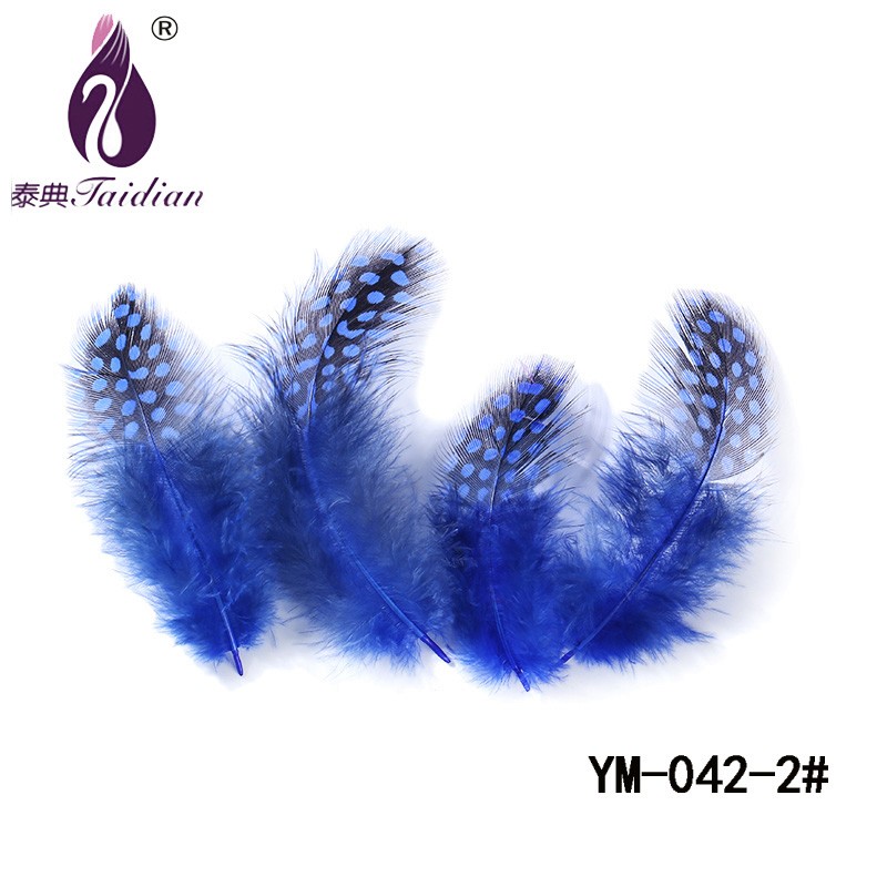 YM-042-2# Guinea pearl Fowl Feather