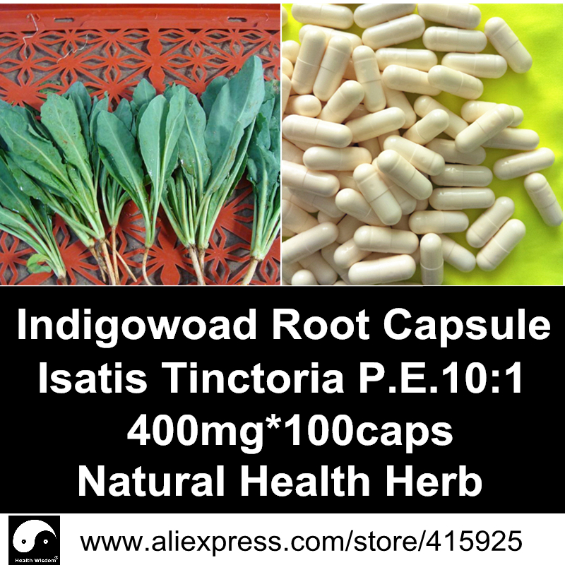 Radix Isatidis Extract Powder Capsules Natural Isatis Tinctoria Health Care Herbal Indigowoad Root P.E. 10:1 Dietary Supplements