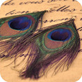 2016 Hot Women Ethnic Long Earring Fashion Handmade Peacock Feather Earrings New Thailand Vintage Bohemian Earring