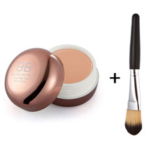 Free Shipping Blemish Concealer Cream Smooth Moisturizing Makeup Cover Foundation Brush 2015 New
