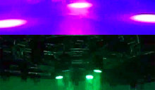 HTB1qQU5QVXXXXbBXFXXq6xXFXXXv