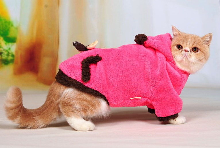 Online Toptan Alım yapın yavru kedi için kıyafet Çin�den yavru kedi