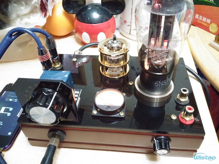 Applications and Modification by Audiophiles WEVT-6N11(a104l)