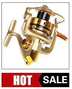 5566516_112445023388_2_05