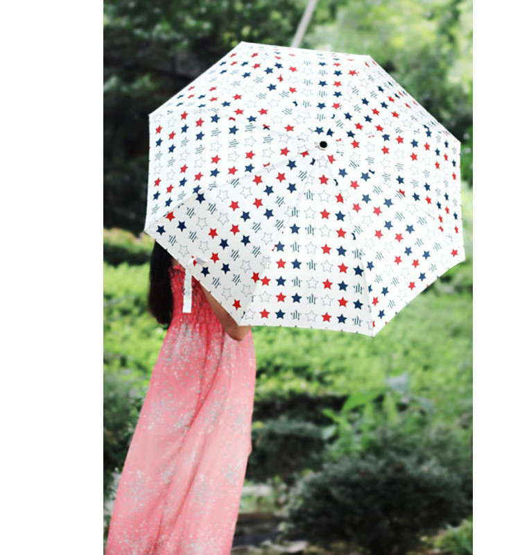 umbrella Paraguas04.jpg