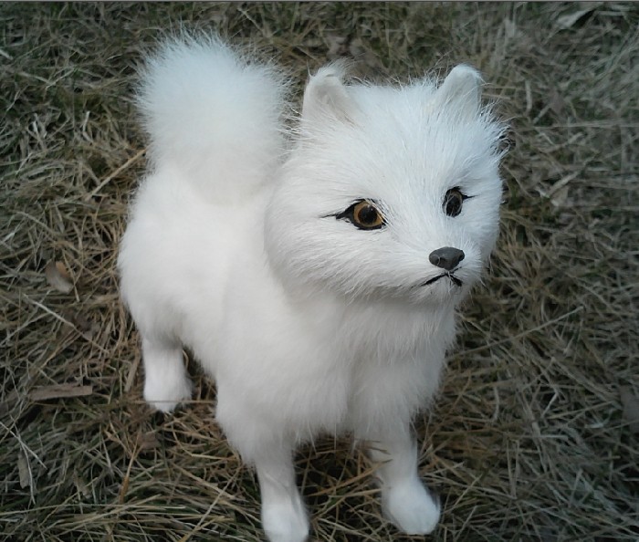 samoyed dog stuffed animal